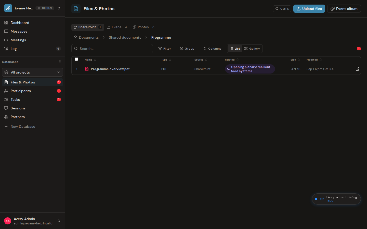 Understand file summaries, indexing, and skip reasons in Evane
