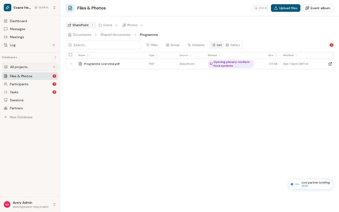 Understand file summaries, indexing, and skip reasons in Evane